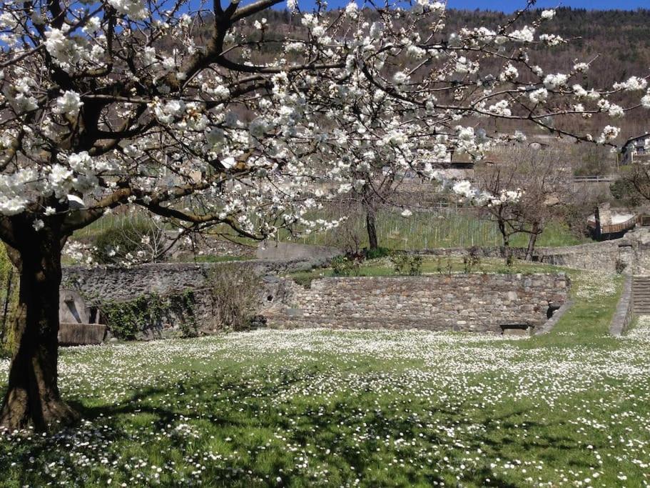 Вилла Il Drago Al Roseto Del Drago San Bernardo  Экстерьер фото